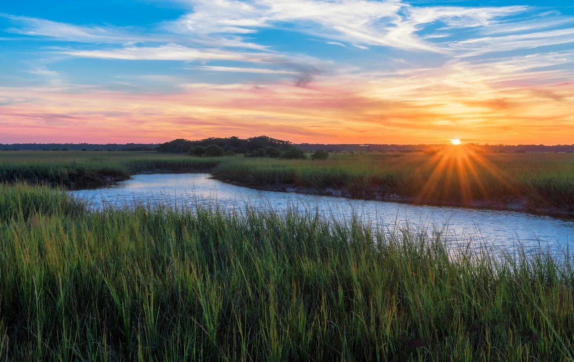 Septic Services Across Northeast Florida: Your Local Guide to Dr. Poo’s Service Areas